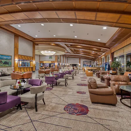 Porto & Hotel 5*